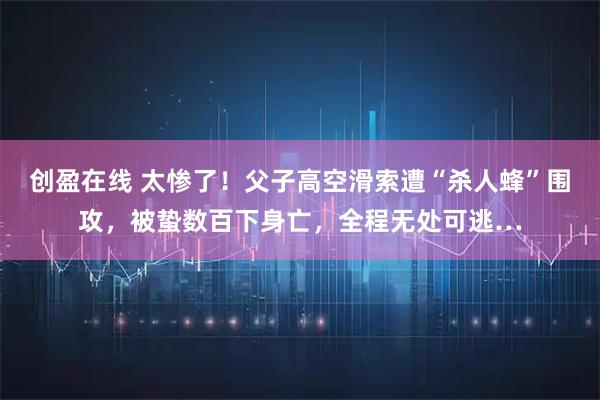 创盈在线 太惨了！父子高空滑索遭“杀人蜂”围攻，被蛰数百下身亡，全程无处可逃…