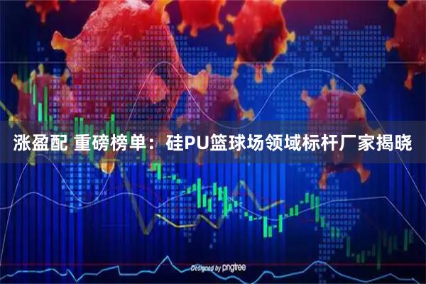涨盈配 重磅榜单：硅PU篮球场领域标杆厂家揭晓
