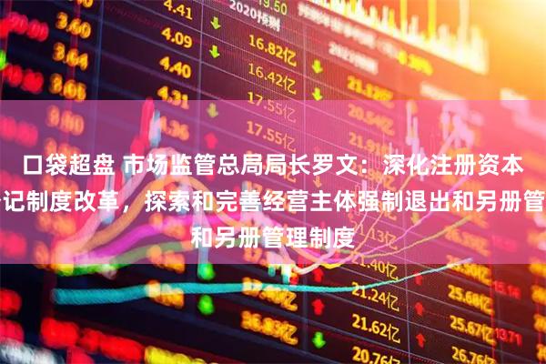口袋超盘 市场监管总局局长罗文：深化注册资本认缴登记制度改革，探索和完善经营主体强制退出和另册管理制度