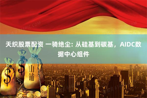 天织股票配资 一骑绝尘: 从硅基到碳基，AIDC数据中心组件